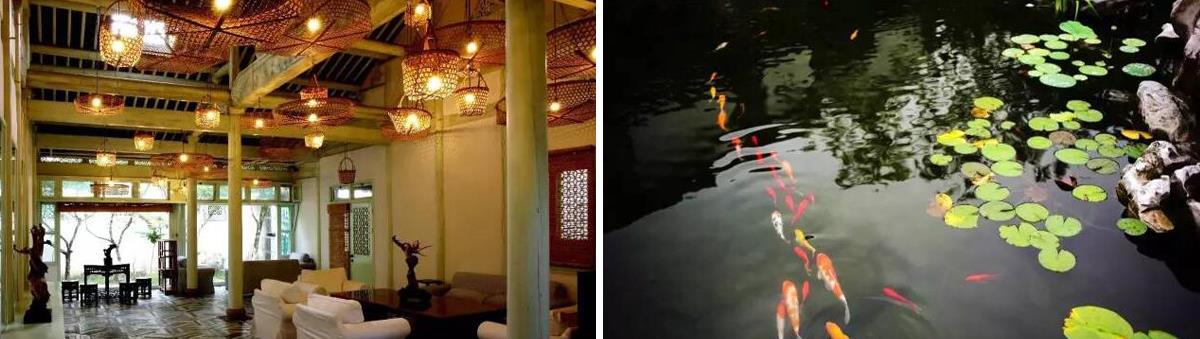 原是废旧工厂的上海金泽工艺社,她花费十多年,打造成古典庭院