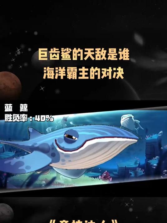 巨齿鲨的十大天敌