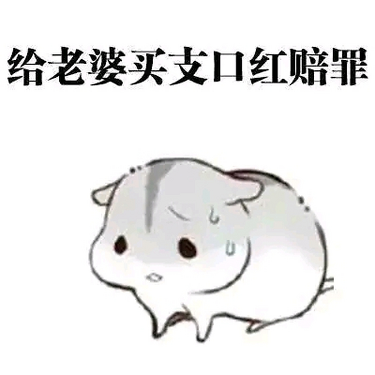 老婆专用表情包