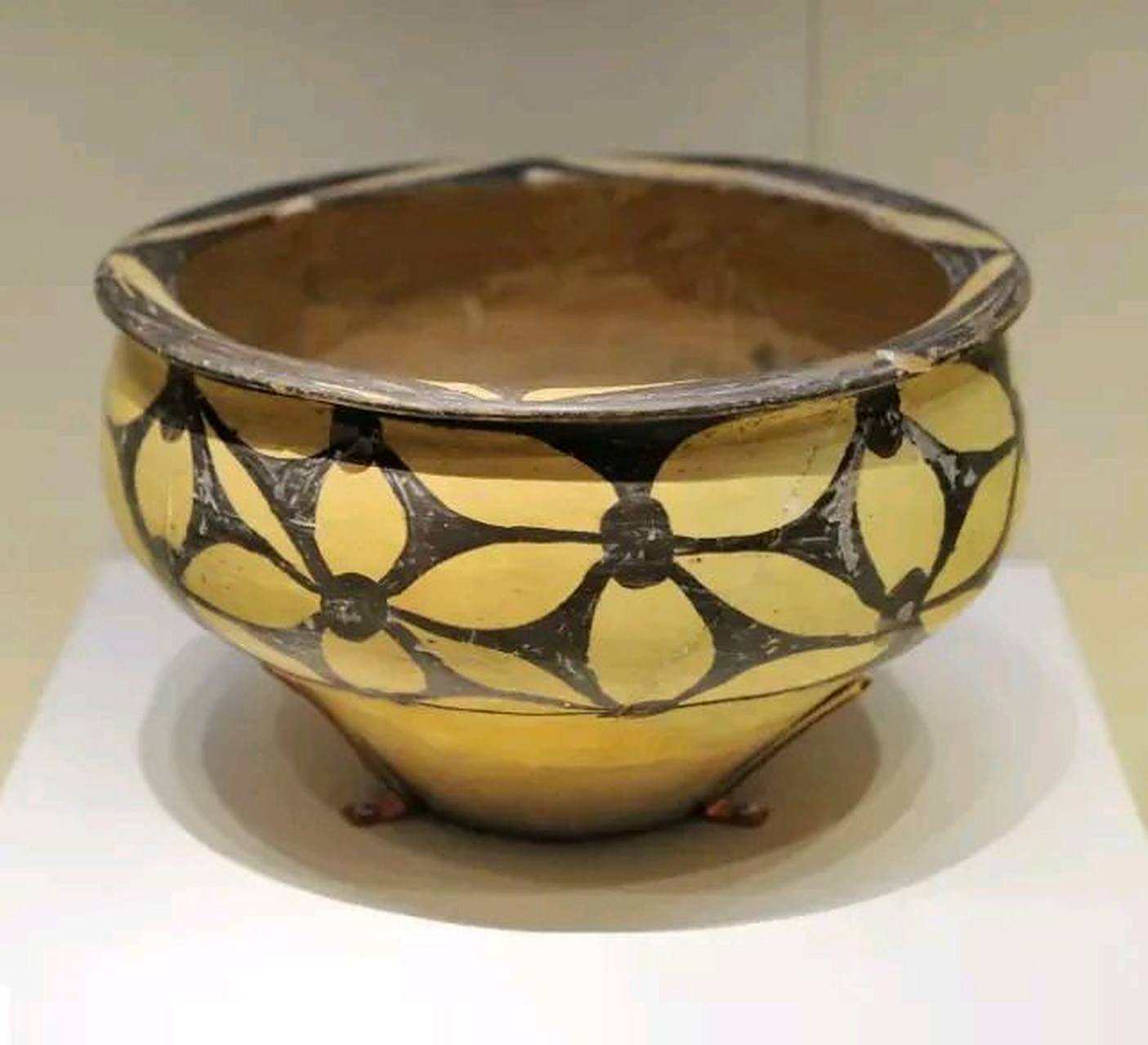 仰韶文化中有一个庙底沟二期类型,它位于河南三门峡市,曾经迅速扩张.