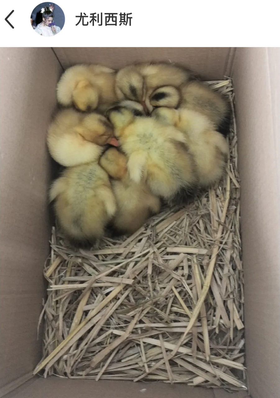 不过这样的睡觉姿势也末免太可爱了吧?哈哈哈