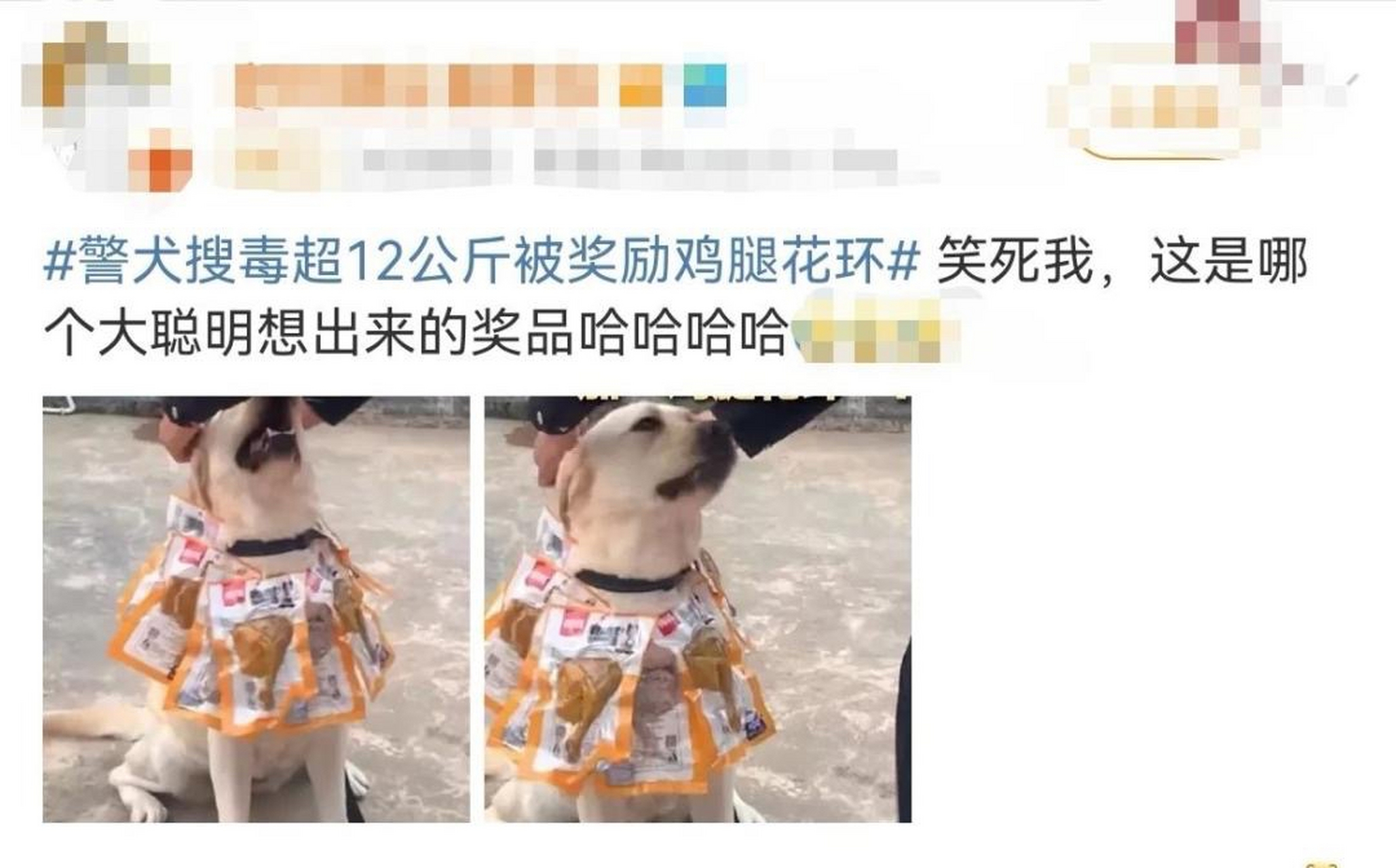 据了解,"云一"是云南出入境边防检查总站普洱边境管理支队公信边境