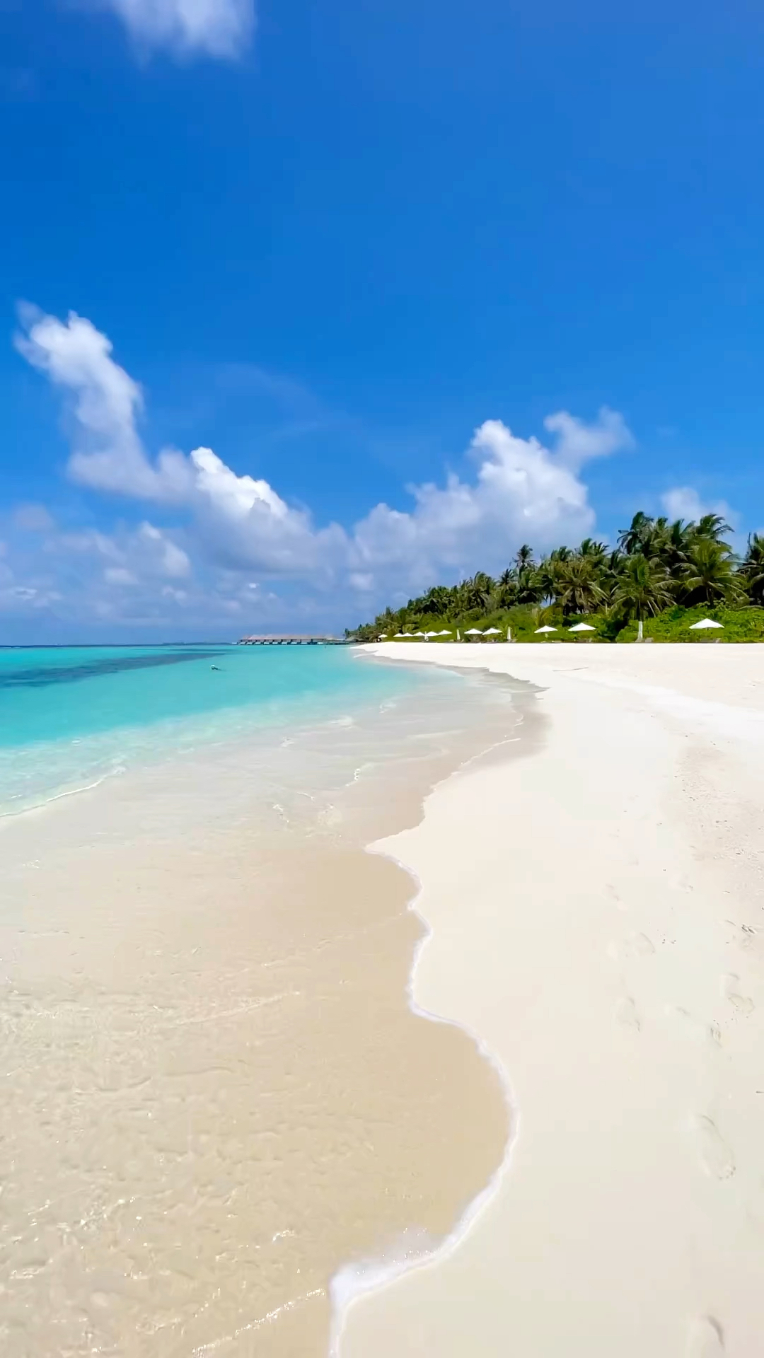 梦想中的果冻海 海景