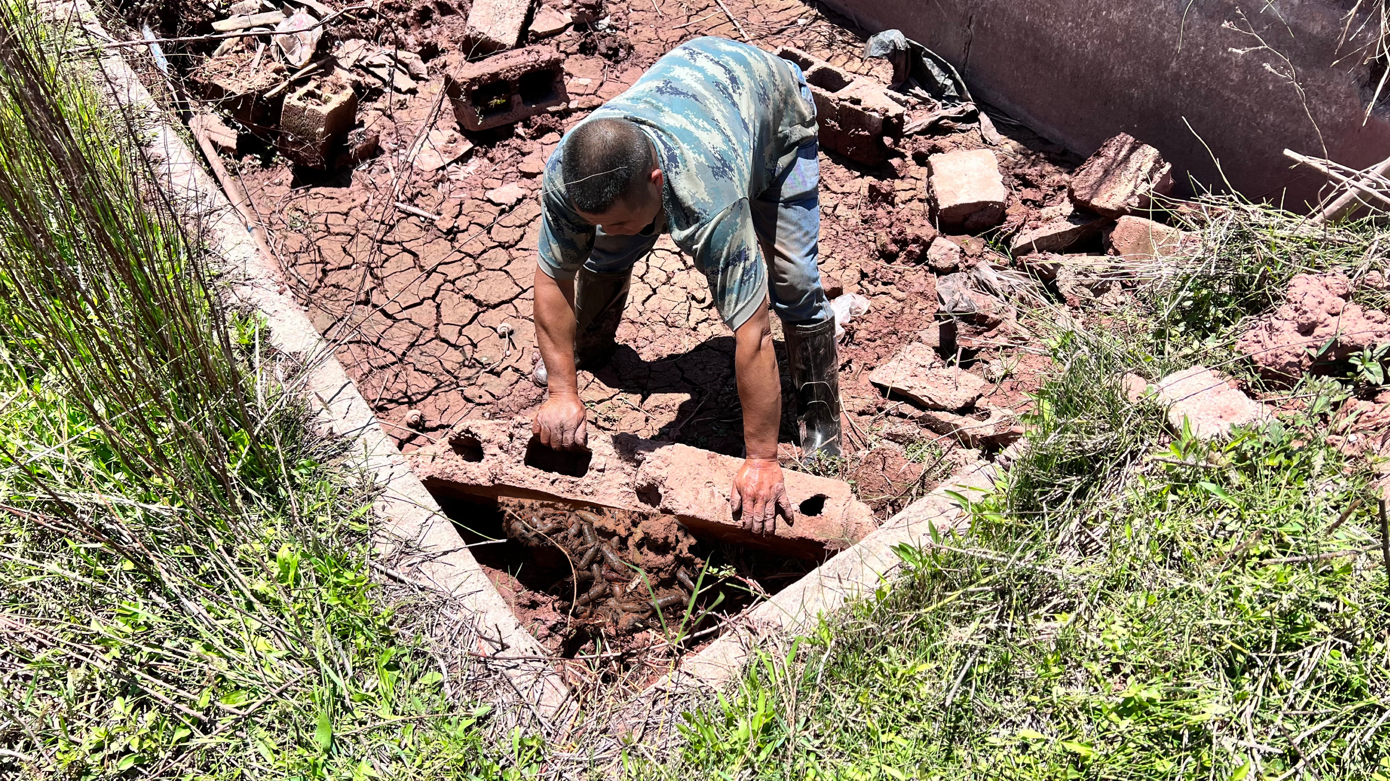 干枯的水泥池,大叔搬开水泥板真的是惊喜呀,直呼捡大漏了