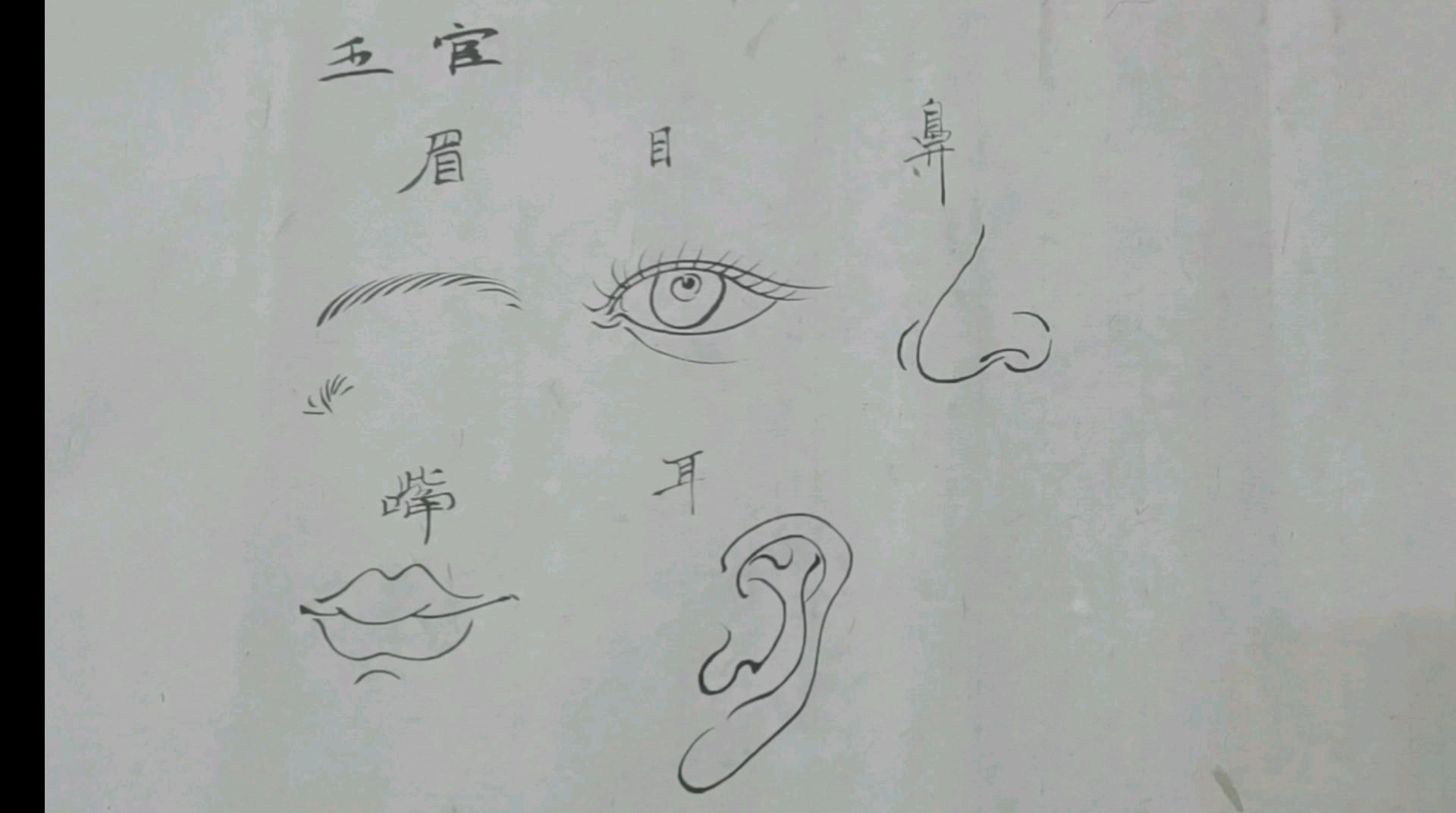 画人物必知,五官画法