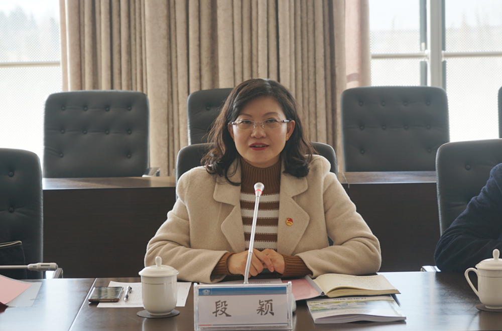 段颖:从县委书记助理到全国最年轻正厅级女干部