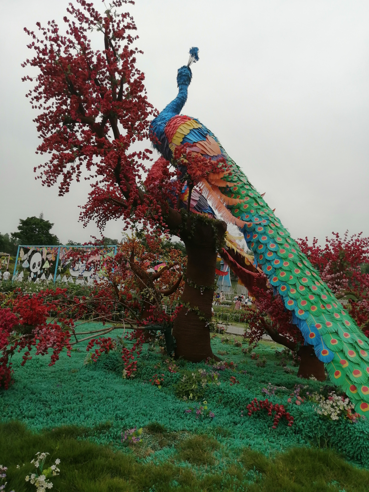 成都市新都区音乐百花谷,花很漂亮种类多