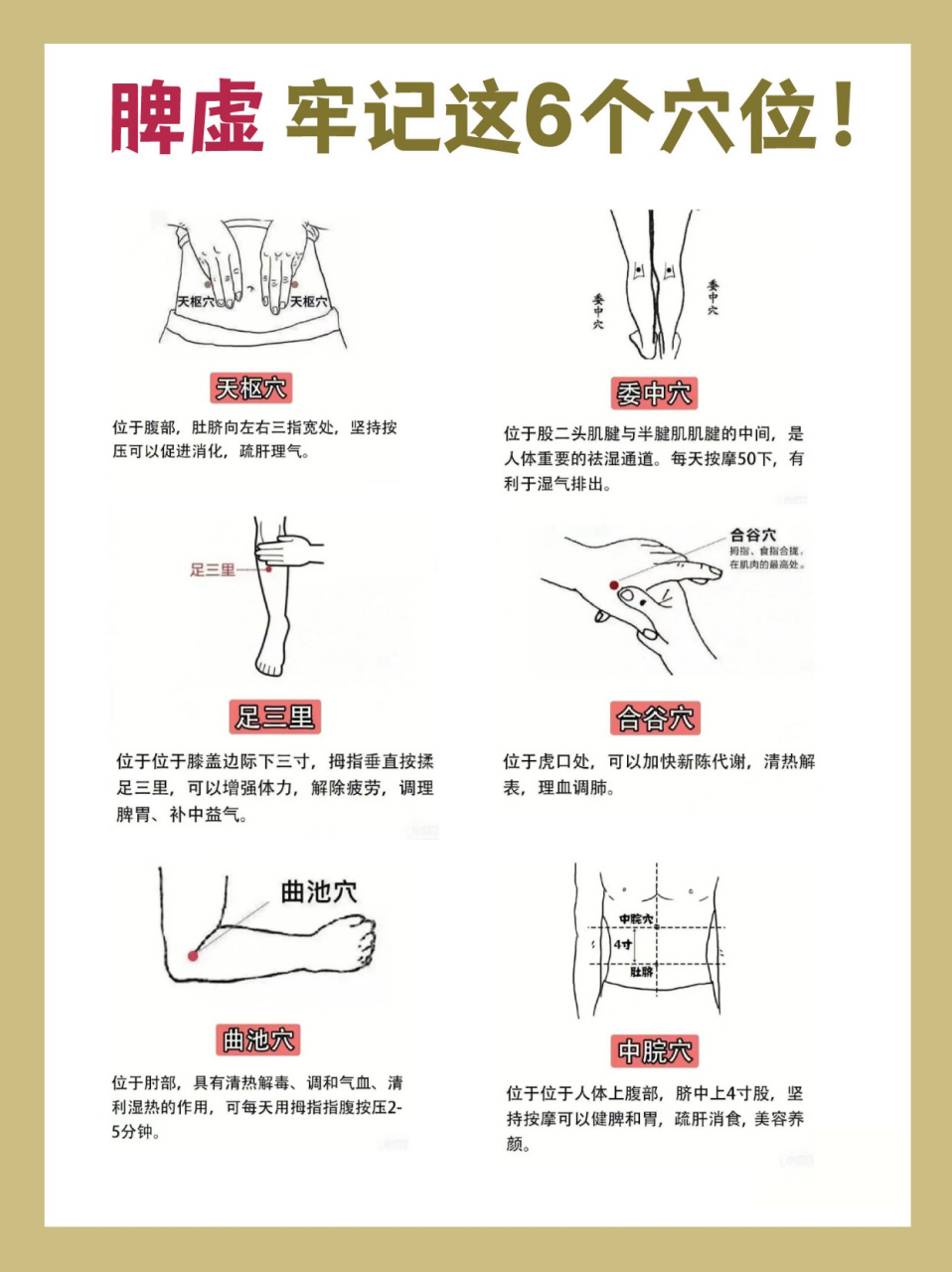 【脾虚常按这六个穴位】 脾虚的人群平时可以多艾灸,多按摩这6大穴位