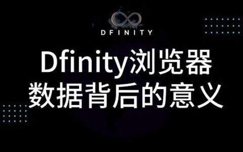 一文理解Dfinity浏览器数据背后的意义之链上数据