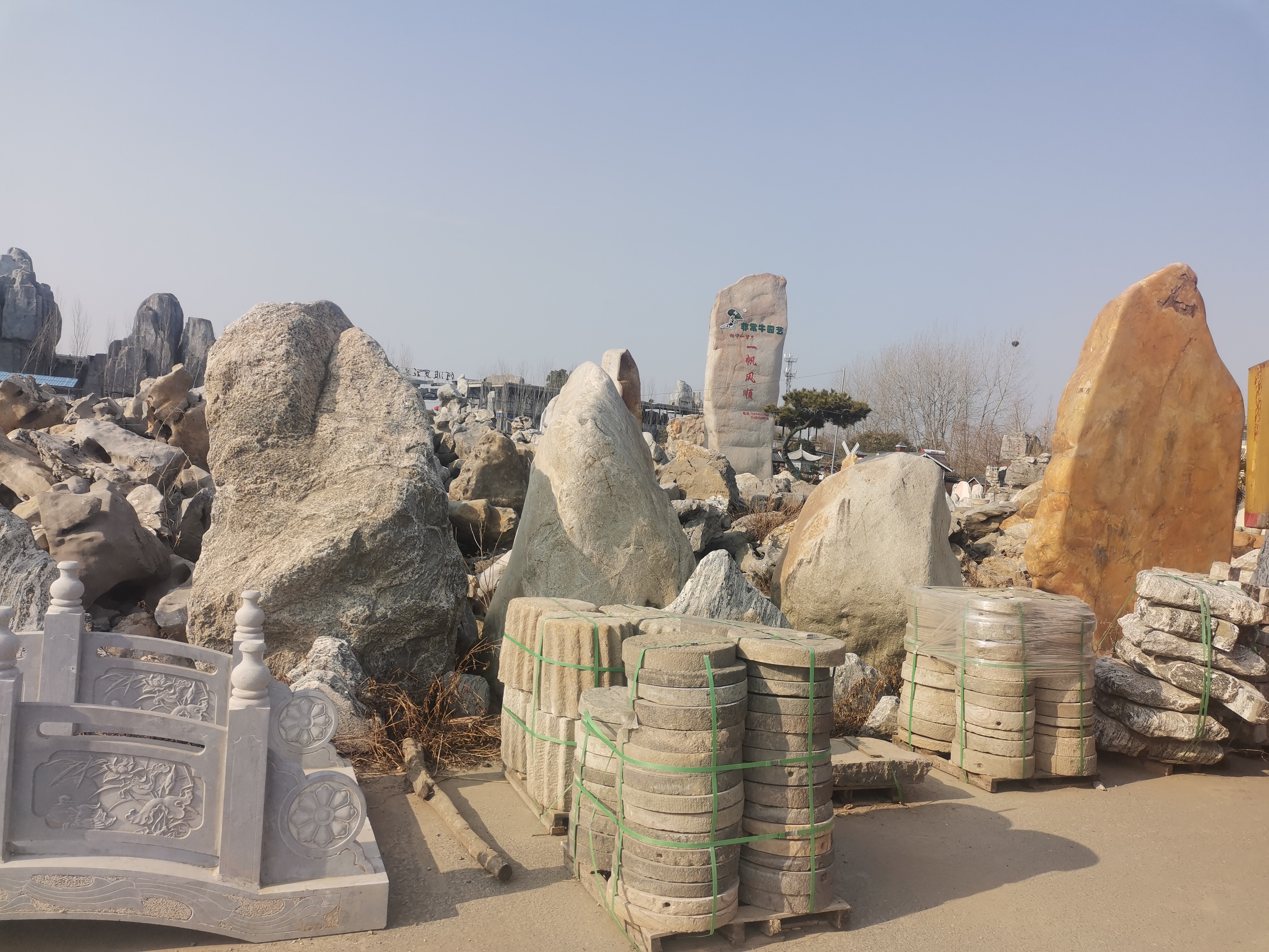 扬州阿波罗花木市场,盆景,怪石很多