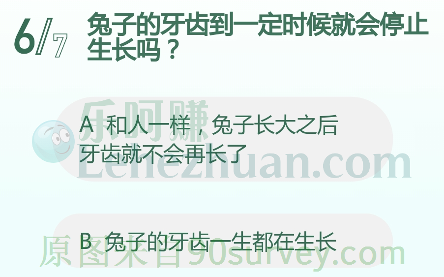兔子的牙齿一生都在生长