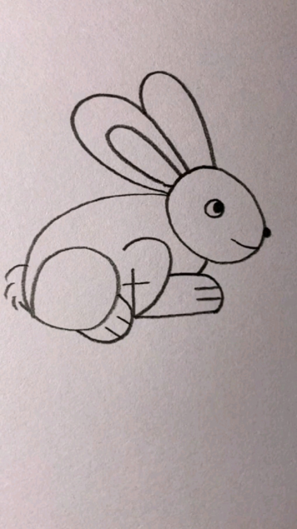 简笔画教程数字画一只可爱的兔子