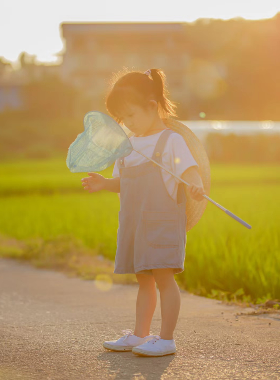 去稻田捕捉夏天的小美好