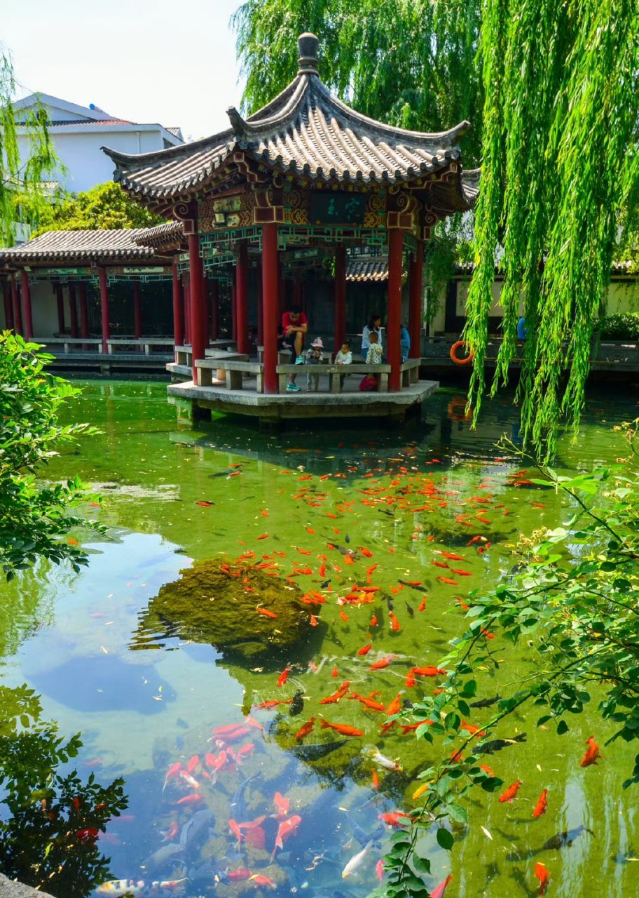 天气晴好,天下第一泉景区里处处洋溢着生机与活力.