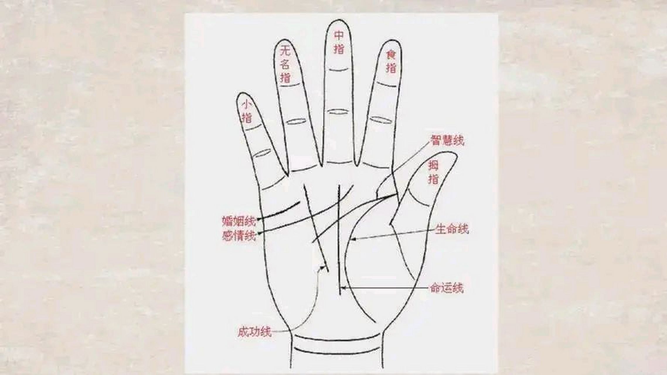 "小指过三关,晚年有吃穿",古人的手相学有没有科学依据?