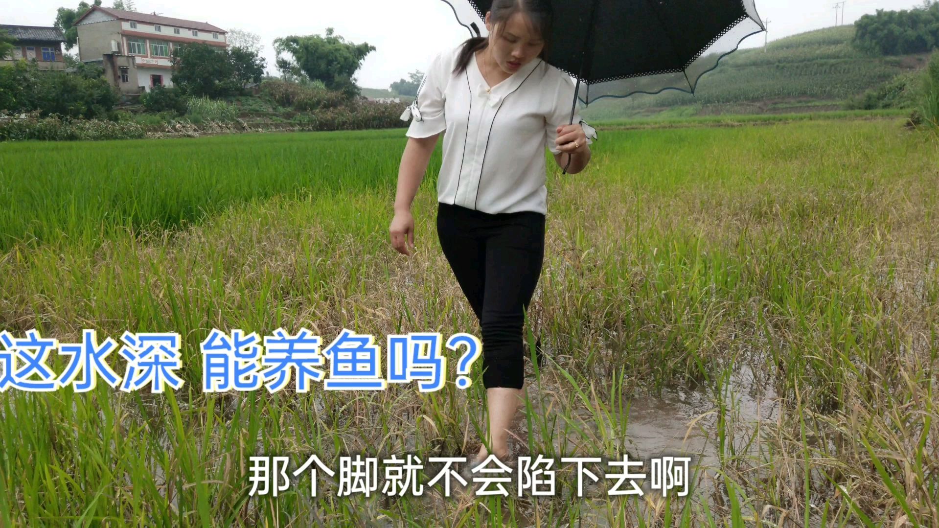 四川自贡暴雨过后,农村希妮养鱼计划将实现,条件真具备了吗?
