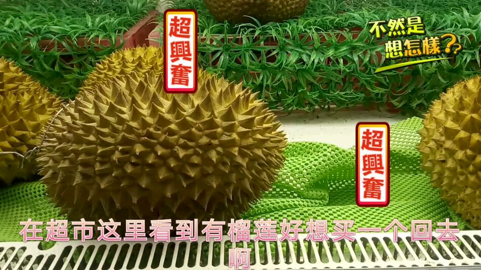90元卖了个榴莲,农村婆婆小孩第一次吃,一盘榴莲肉吃得好抗拒