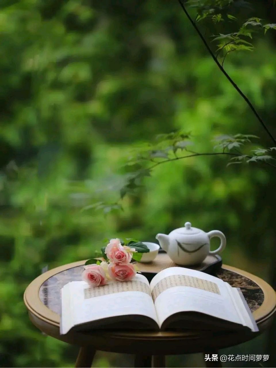 定能生智,静能生慧,形成智慧 静就是和自然和解,与万物保持良好和谐