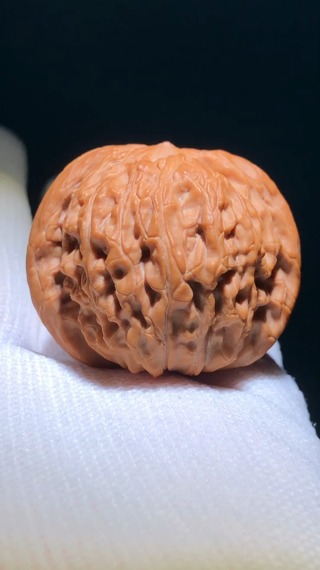 经典品种全品磨盘狮子头