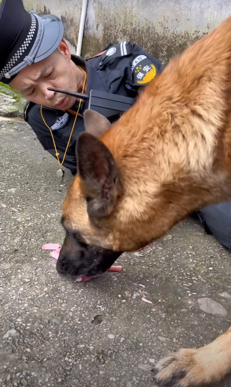 原来良心是被狗吃了[偷笑]