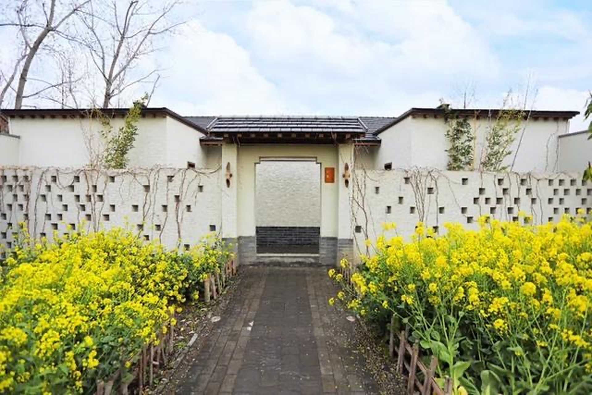 来到了江苏兴化东罗村,这个只有400多户,千余人的苏中小村,有个好听的