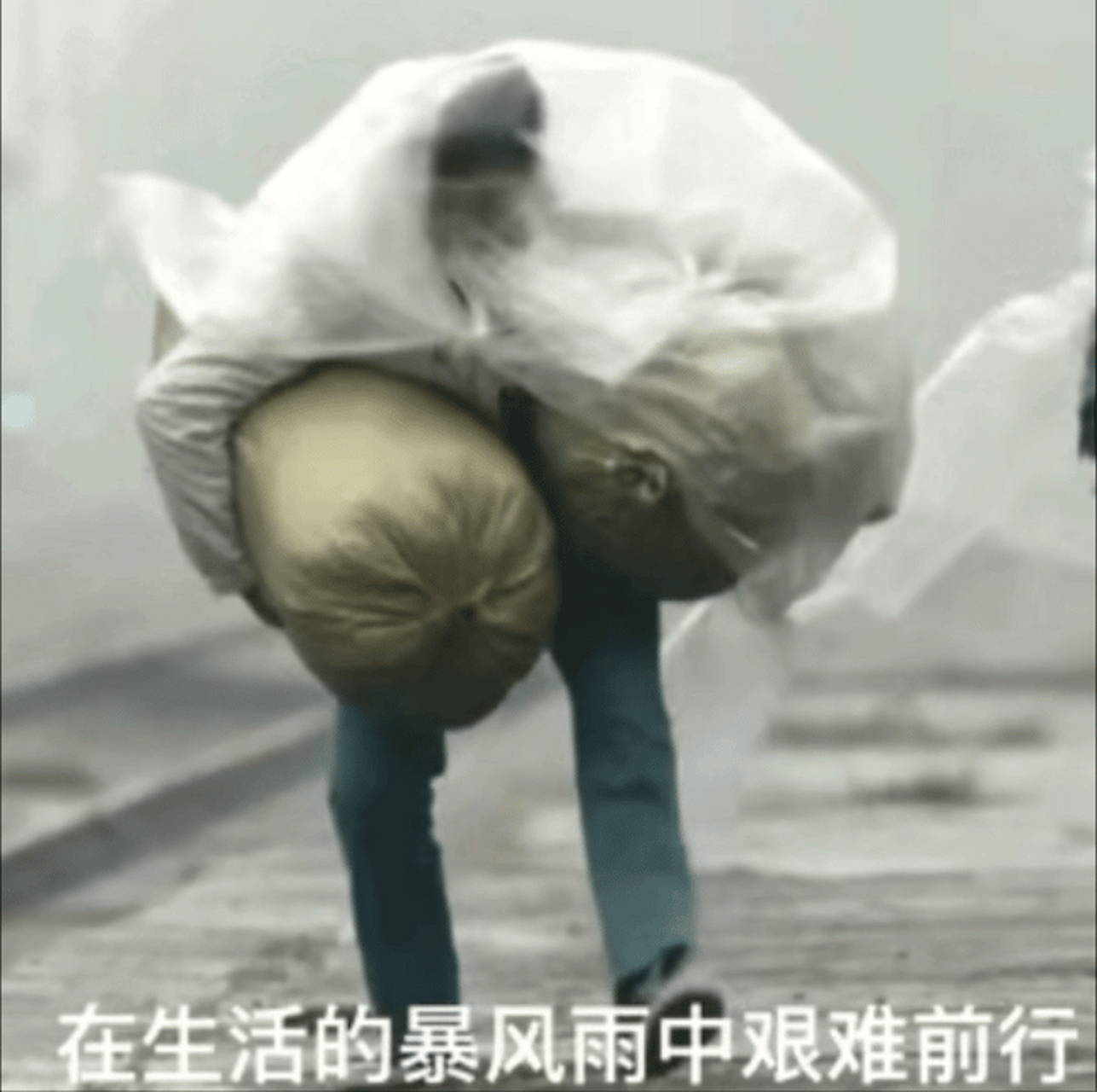 张泽一瘸一拐扛麻袋这段太好笑了