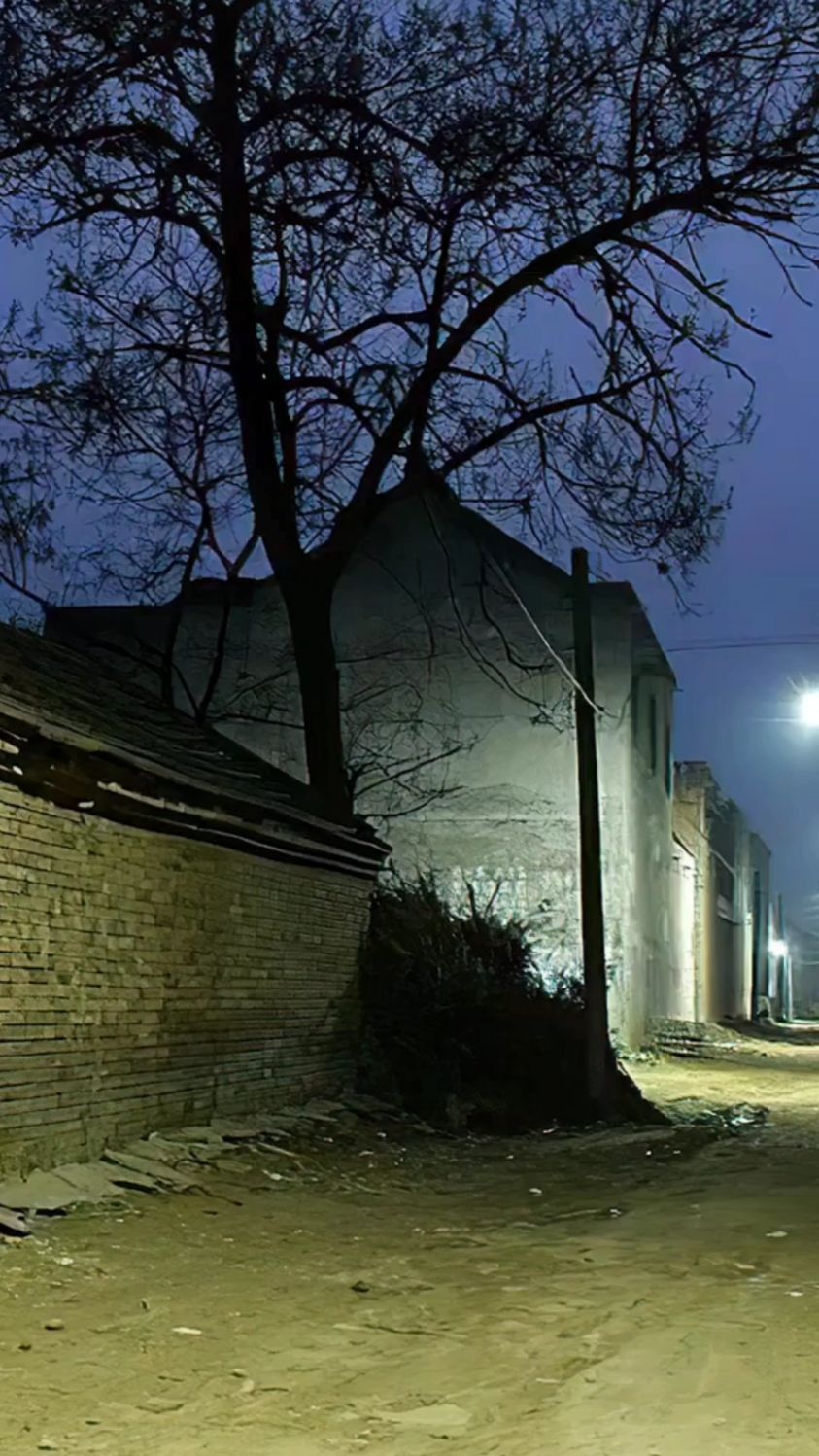 狗叫就是农村夜晚唯一声音,秋天的时候还有蛐蛐,公鸡总在夜深人熟睡的