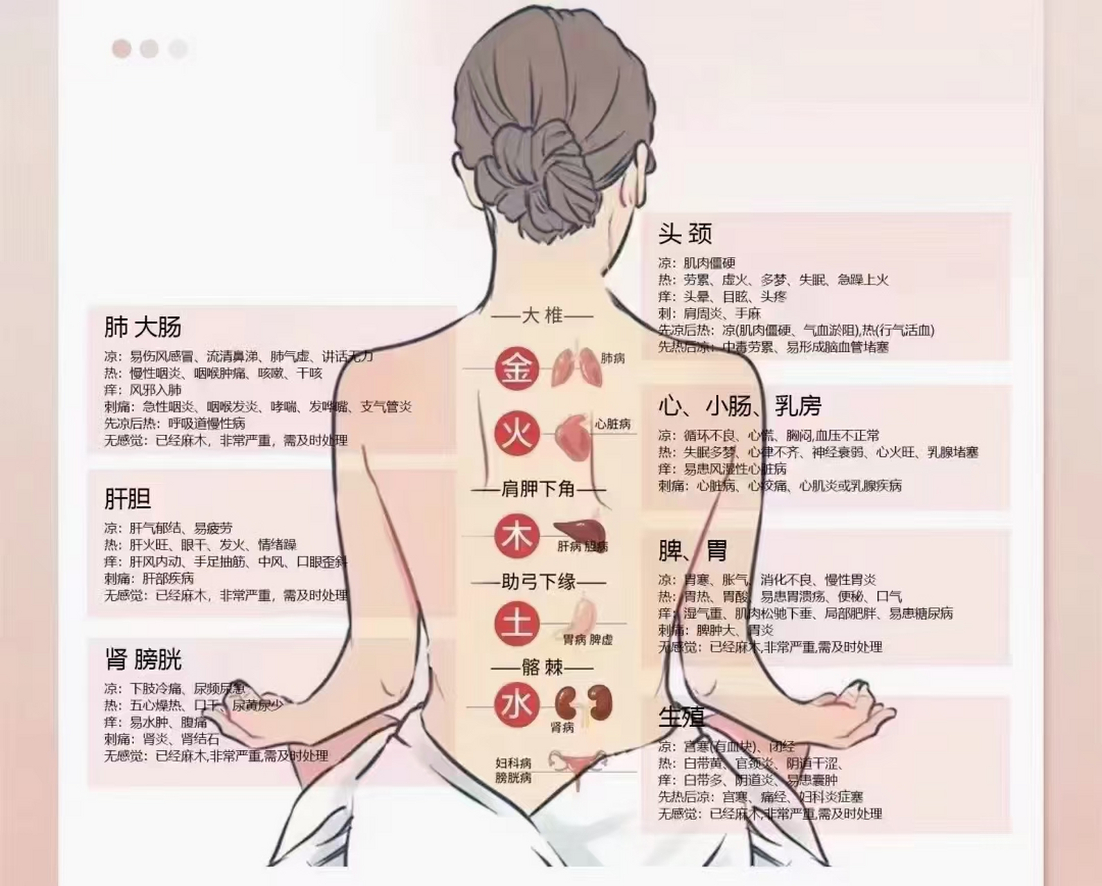 疏通经络,祛除体内寒湿,促进背部经络的排毒排寒功能.