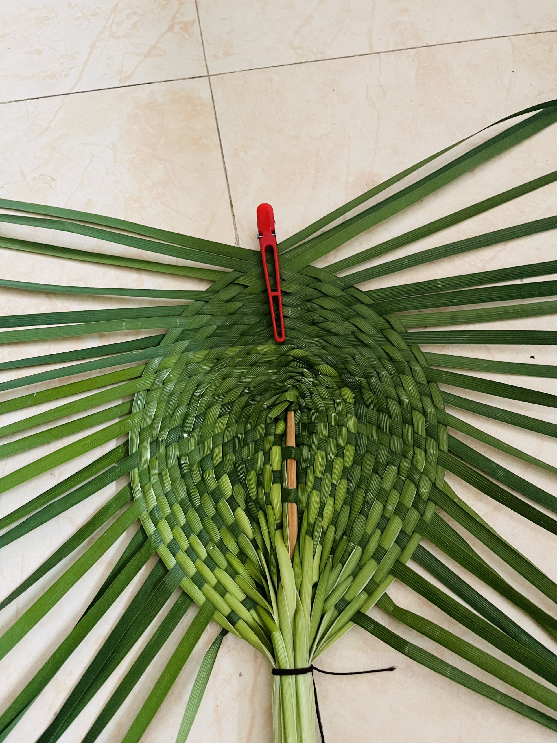 随手薅了一些马莲草! 让他变成手里的宝