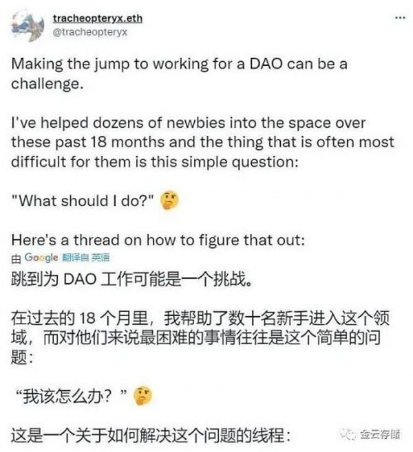 一文了解DAO之现状