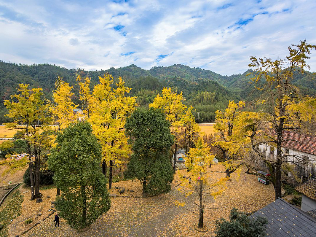 秋日韵味～杭州杨家村的秋天景色