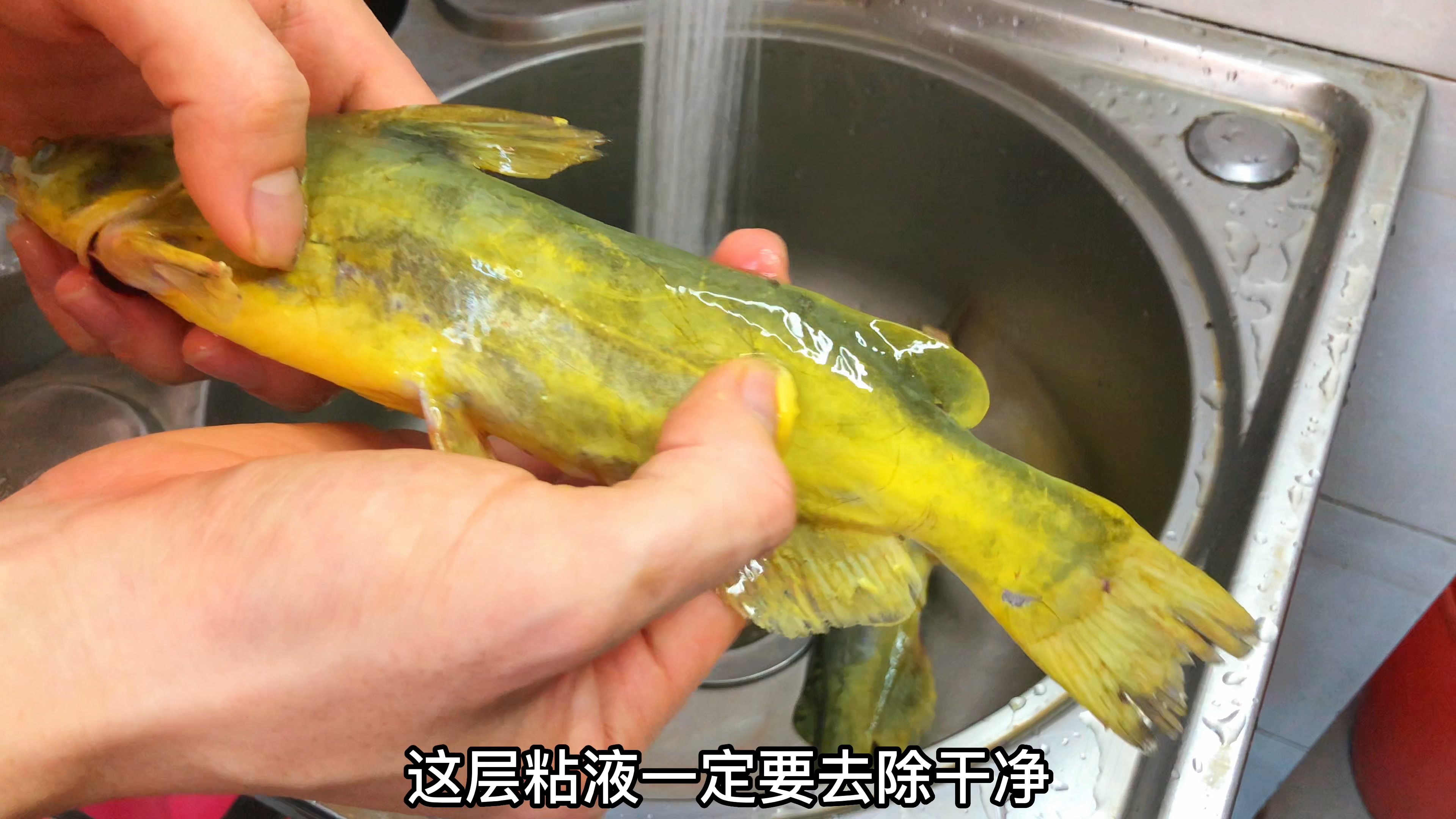 淡水鱼中肉质细腻没有鱼刺，大厨分享潮汕煮黄蜂鱼，好吃不腻