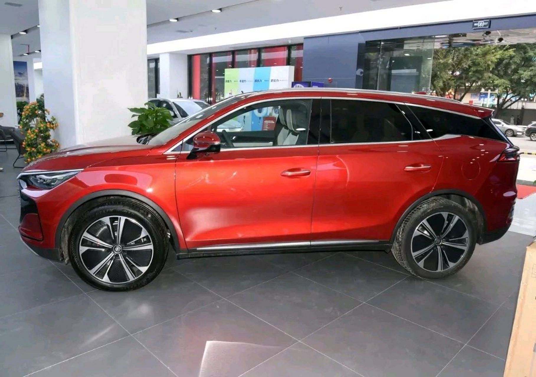 小舅子喜欢坦克300,小舅子媳妇喜欢红色唐dm-i,两口子为了选车喋喋不