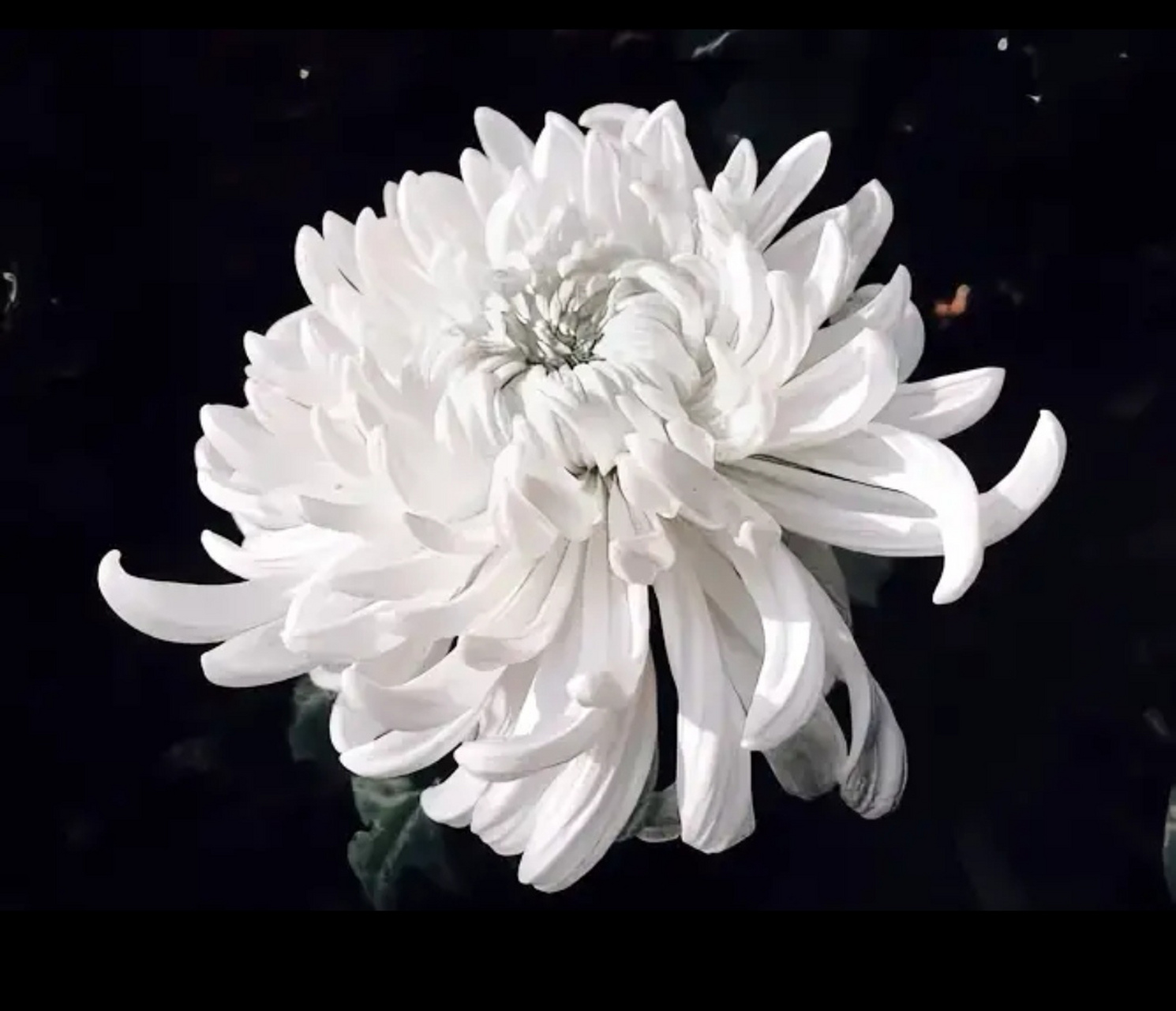 愿逝者安息,一路走好[蜡烛][蜡烛][蜡烛] 生命无常,我们无法预料未来