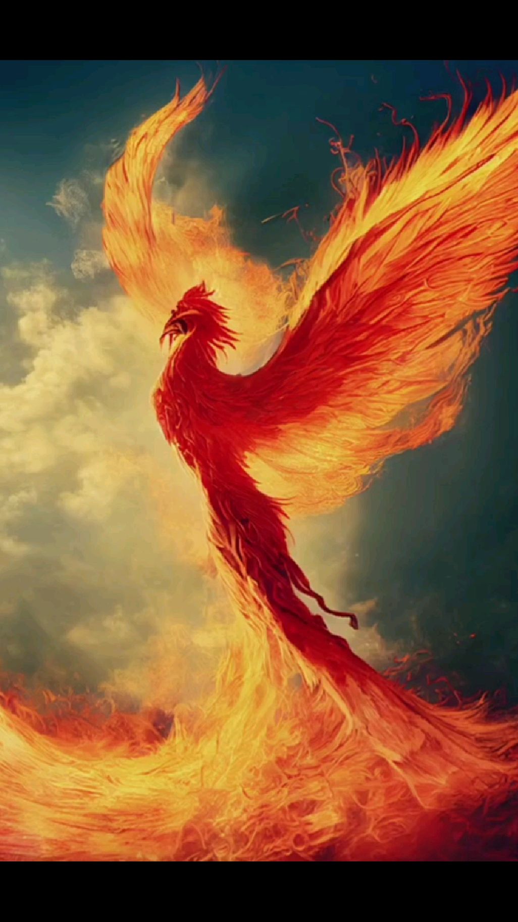 凤凰涅盘浴火重生,你面前如果是阴影,那背后一定是阳光,前途不可限量.