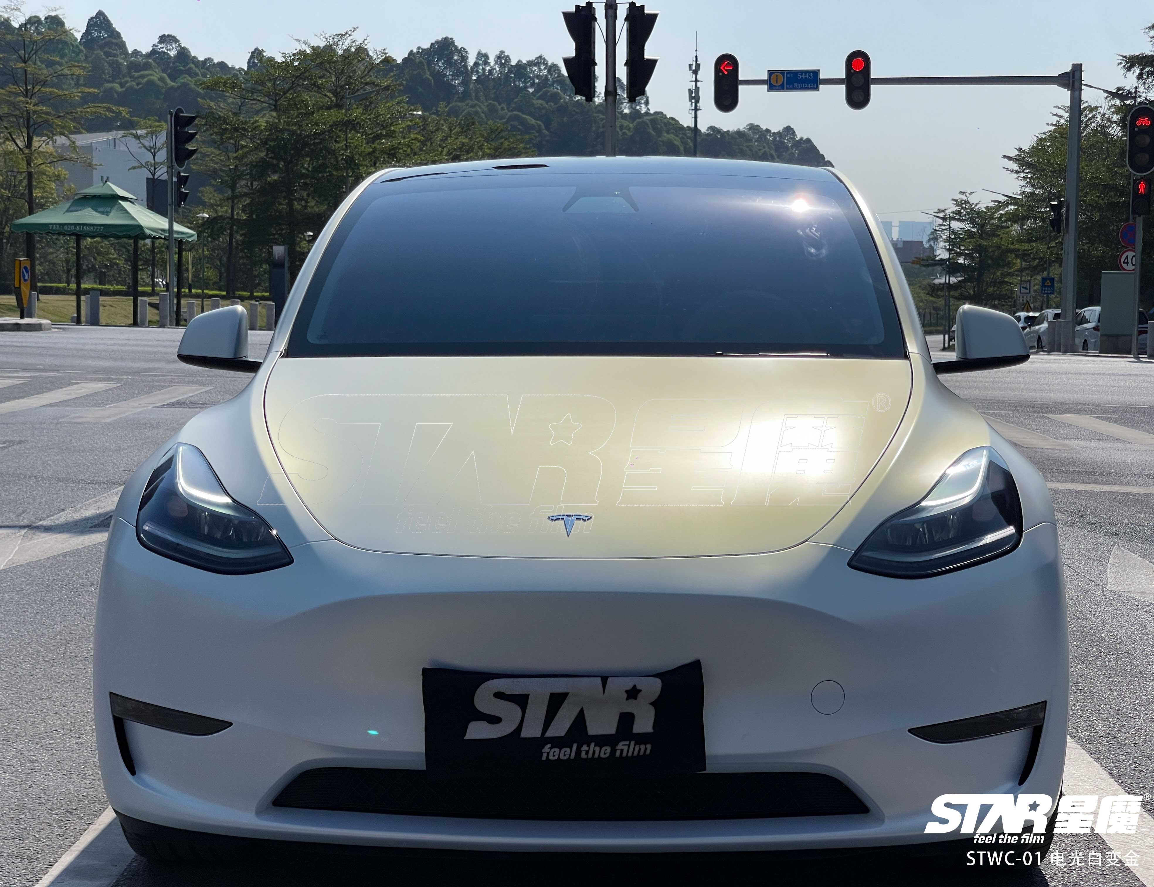 model y 电光白变金