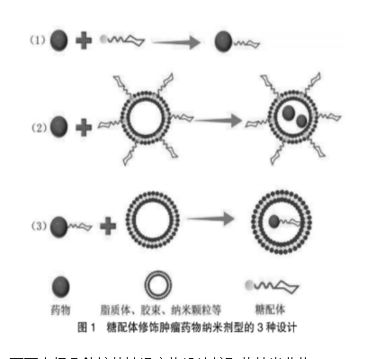 阿奇黴素-聚乙二醇-疊氮 azithromycin-peg-n3