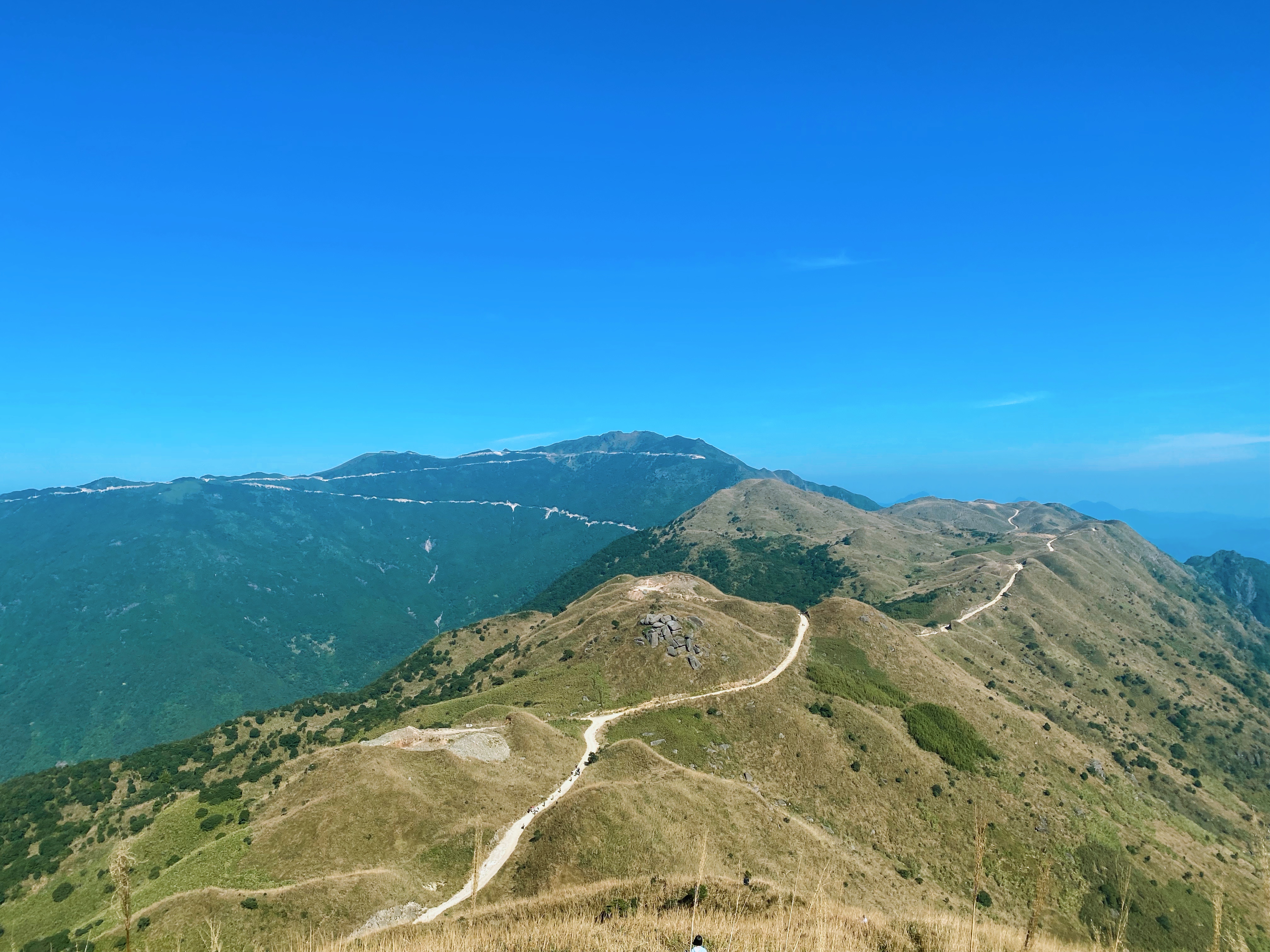 惠州大南山芒草黄