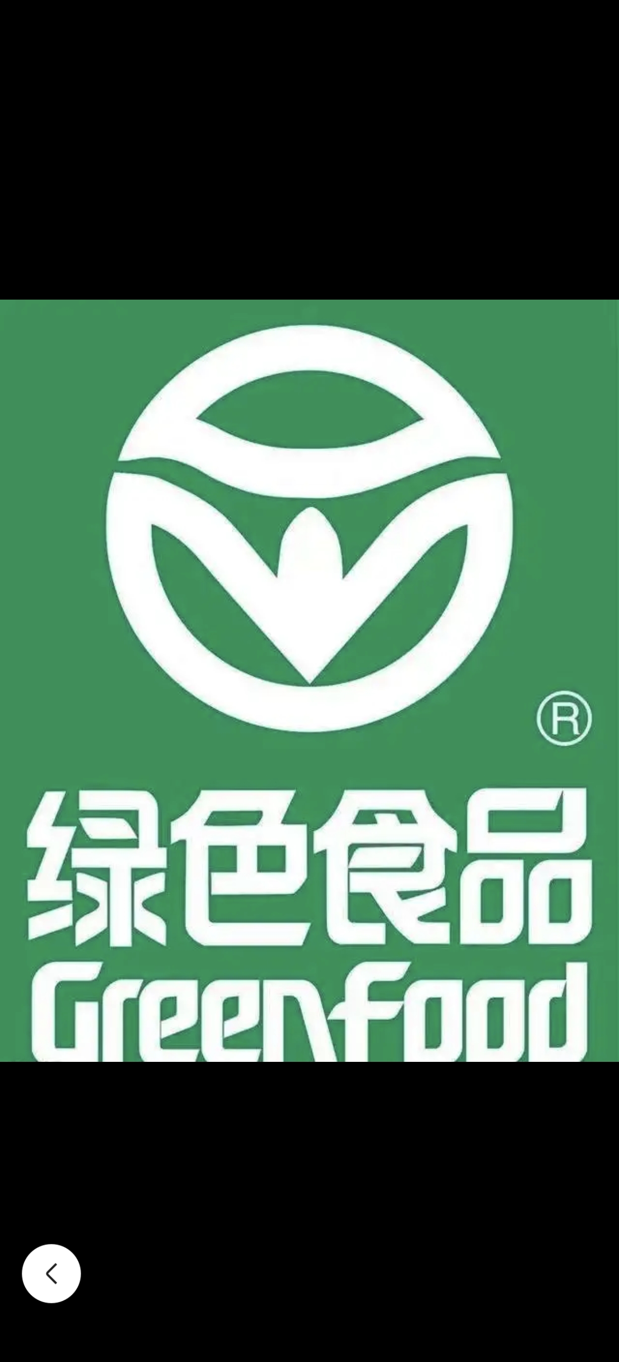 绿色logo设计说明范文图片