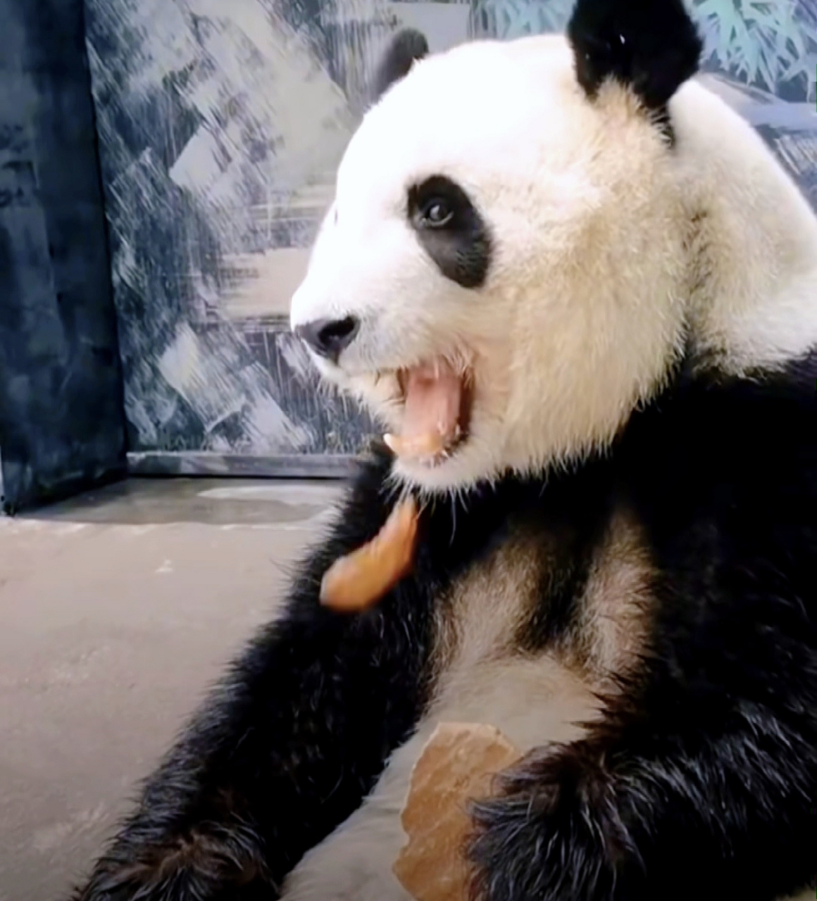 这窝窝头到底有多难吃啊,让七巧这么难以下咽!表情好可爱啊