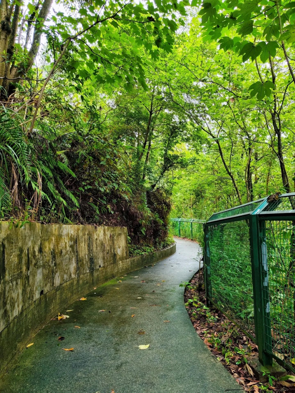 位于龙岗坂田街道,园区植被茂密,环湖绿道,登山道皆有, 是徒步,骑行