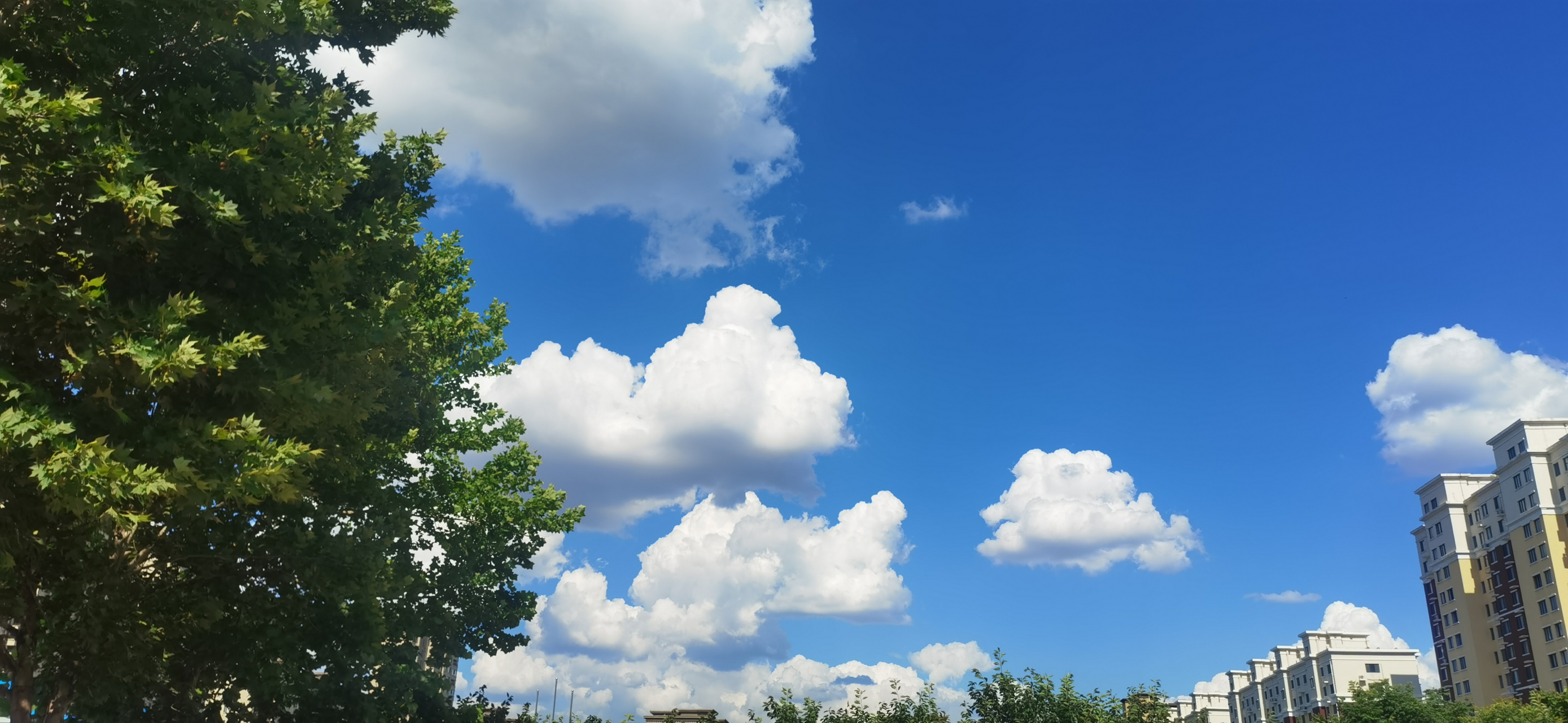 原来我们如此容易满足,比如天空很蓝,风很温柔,云朵很白,身边人平平安