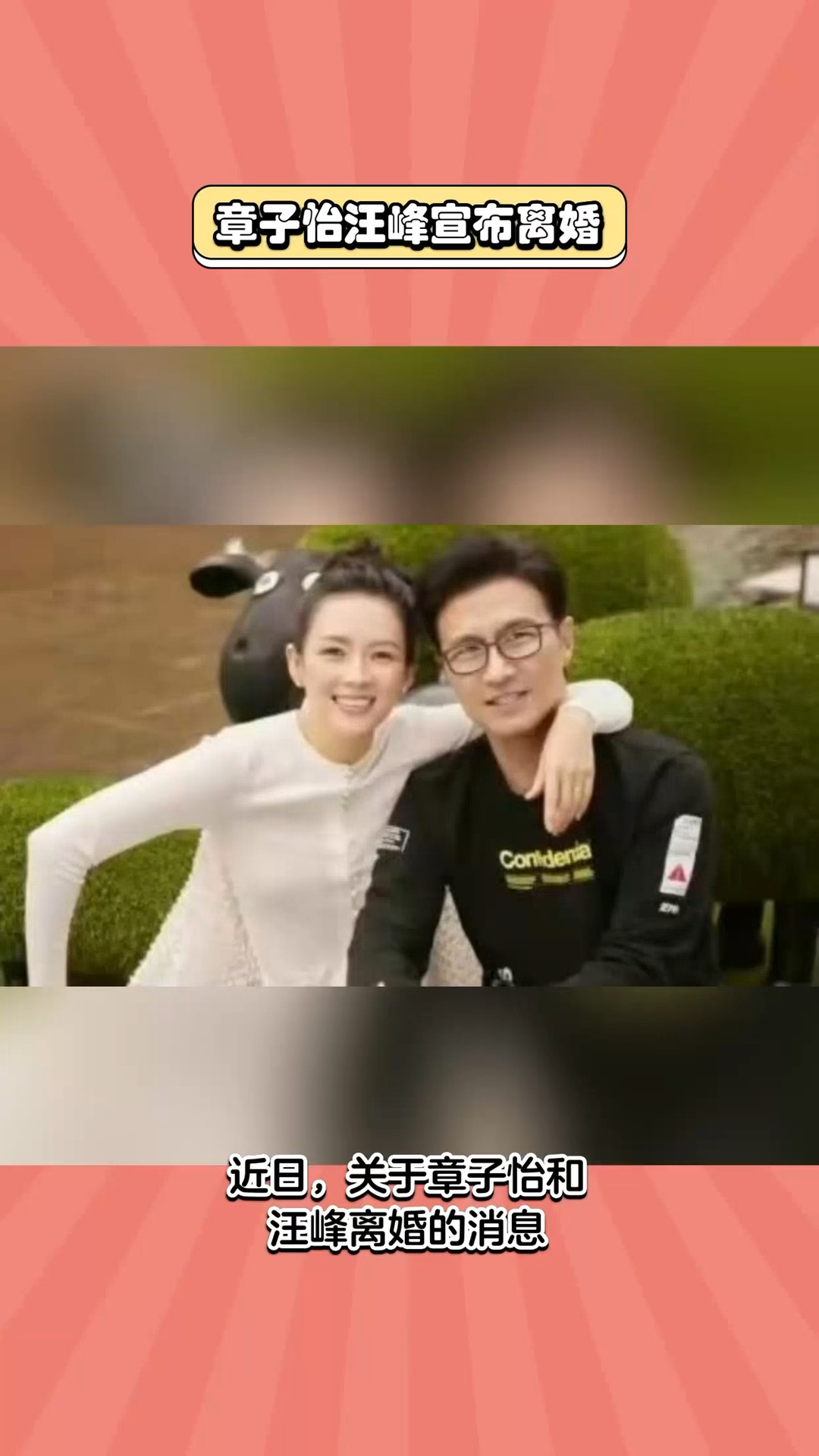 章子怡汪峰宣布离婚