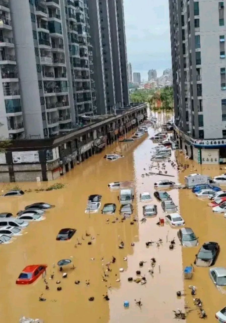 动态创作月泛生活专区# #台风杜苏芮# #保险