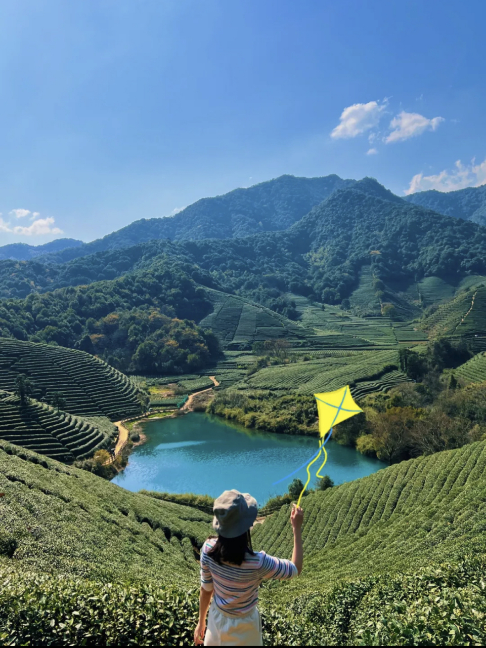 大家都在找这个点,杭州径山茶园