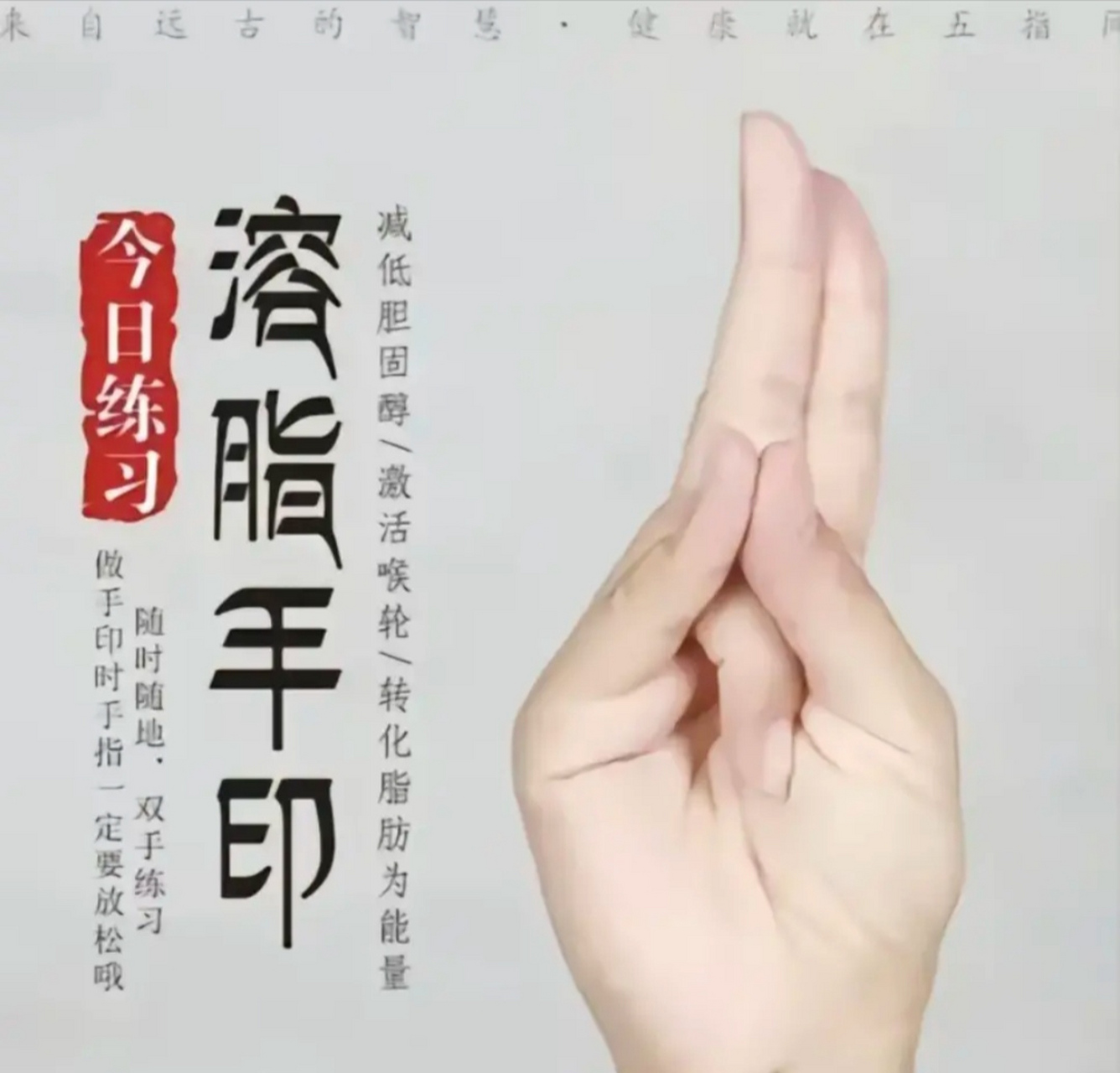 在运动和节食之间选择作法.  急急如律令!