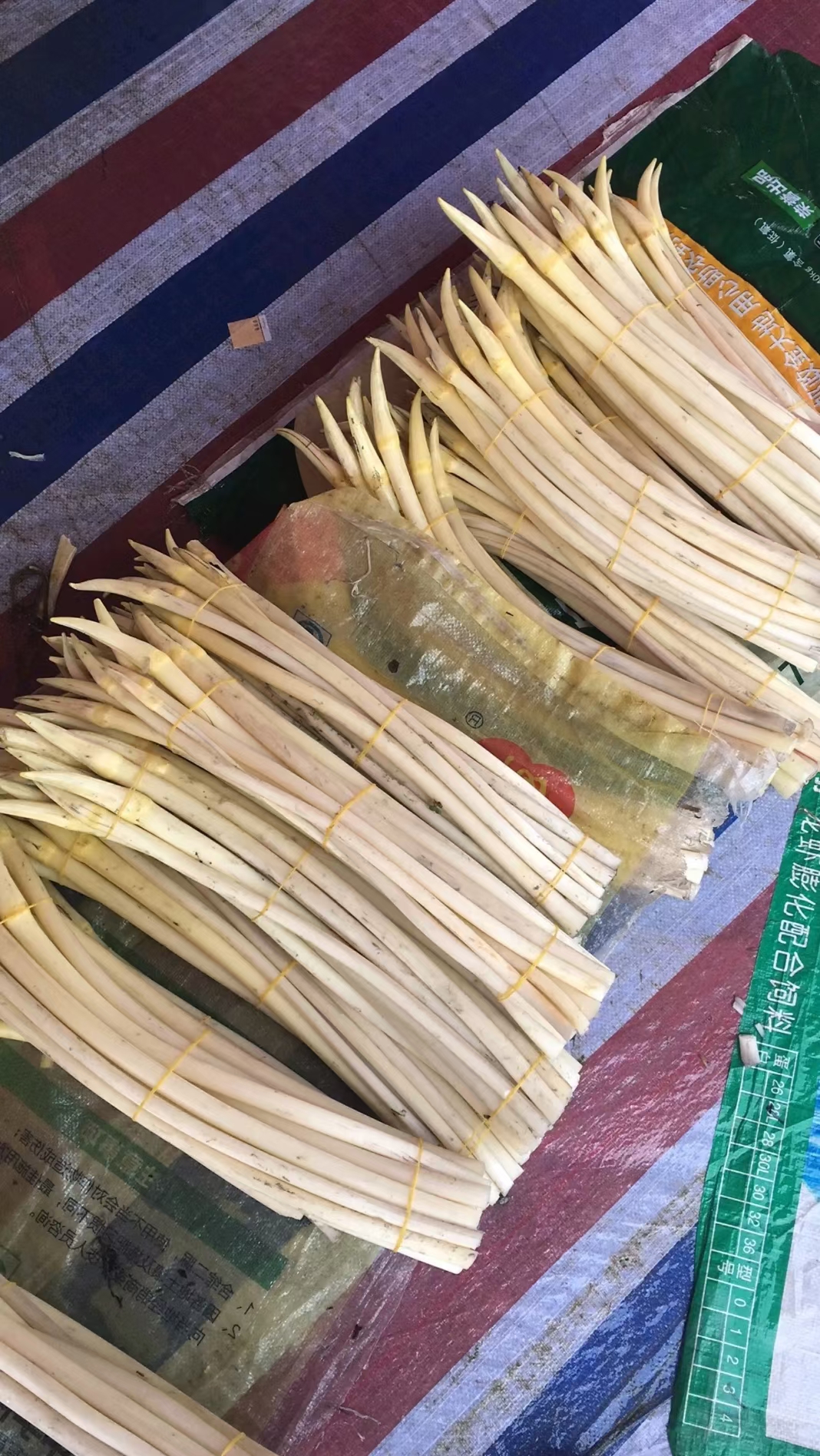 藕心菜高端的食材