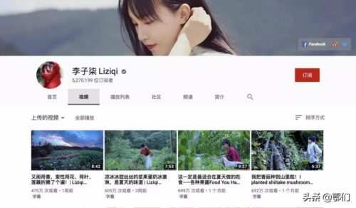 互联网赚钱项目有哪些?我深度验证后的结论(纯干货)