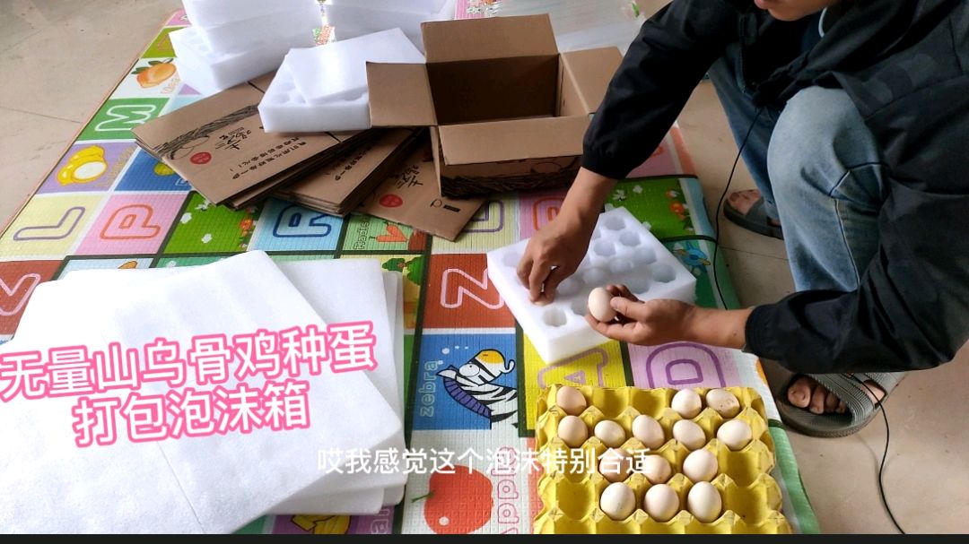 用泡沫箱加上气柱袋,给网友发乌骨鸡种蛋应该不会给摔坏了吧