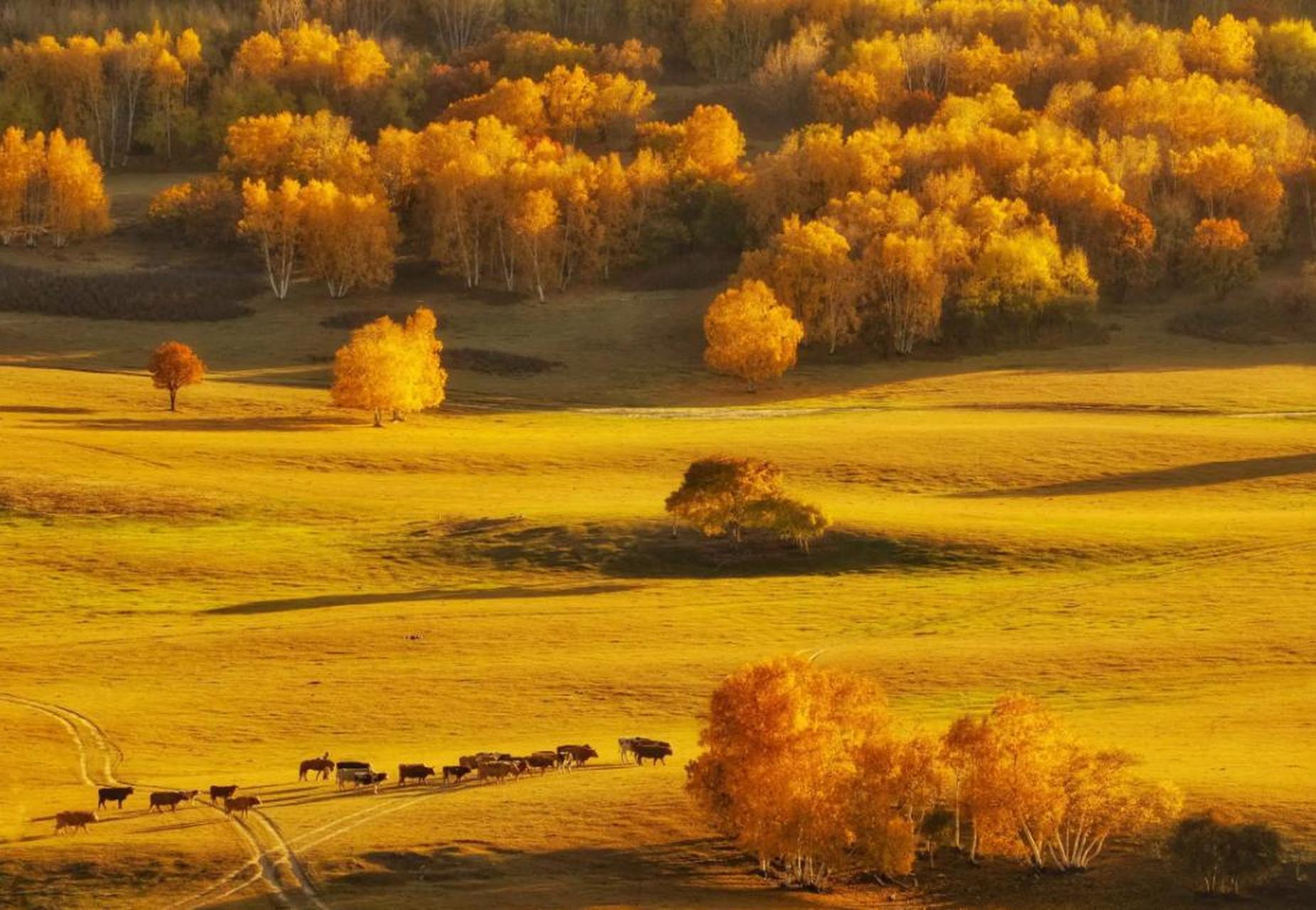 秋季旅游是一个非常美好的体验,因为这个季节有温和的天气和美丽的